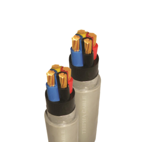 Cáp đồng giáp băng nhôm DK-CVV 0.6/1kV- Thịnh Phát 