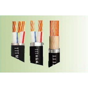 Cáp đồng cách điện XLPE CXV 0.6/1KV TTT