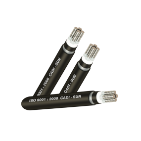 Cáp Lõi Nhôm, Cách Điện PVC AV 450/750V TTT