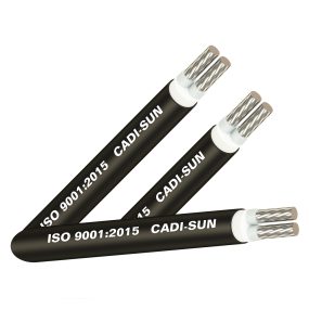 CÁP NHÔM NGẦM CADI-SUN 2 RUỘT CÁCH ĐIỆN XLPE, VỎ BỌC PVC - AXV2x