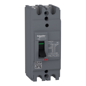 Cầu dao tự động MCCB 2P 100A - 50kV Schneider (EZC100H2100)  
