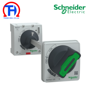 Tay cầm xoay kéo dài, GoPact MCCB 125, chiều dài trục 250m Schneider