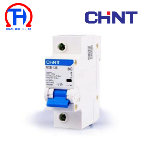 MCB Chint NXB-125 100A 10KA 1P